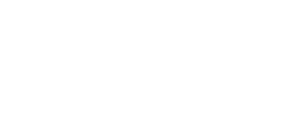 Xpress Entertainment Logo